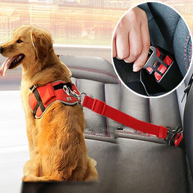 Fantastic Adjustable Pet Vehicle Seat Belt Keeps Them Safe. - My Store