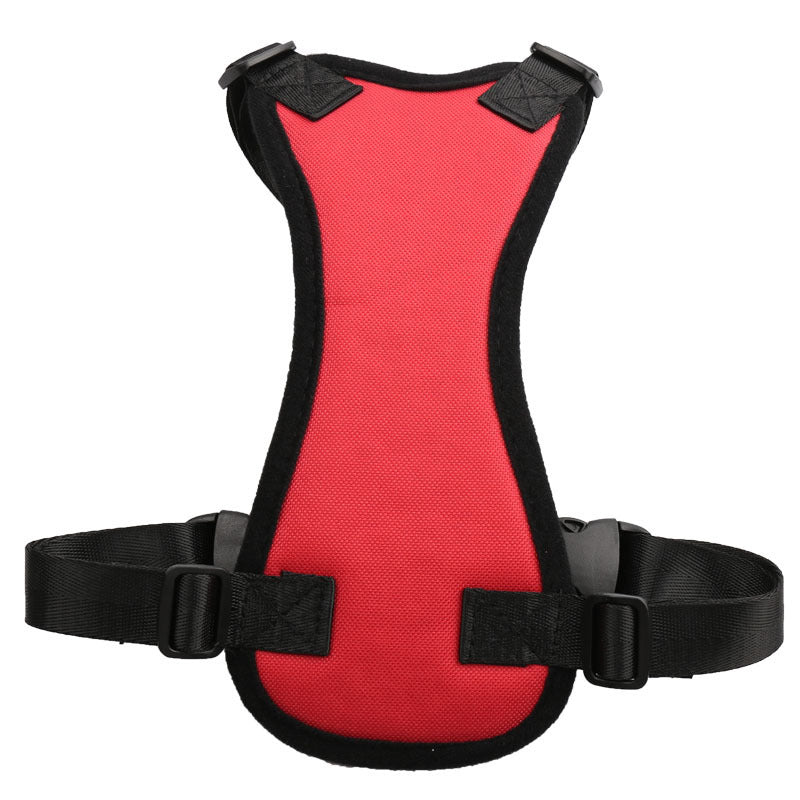 Car seat belts for pets - My Store