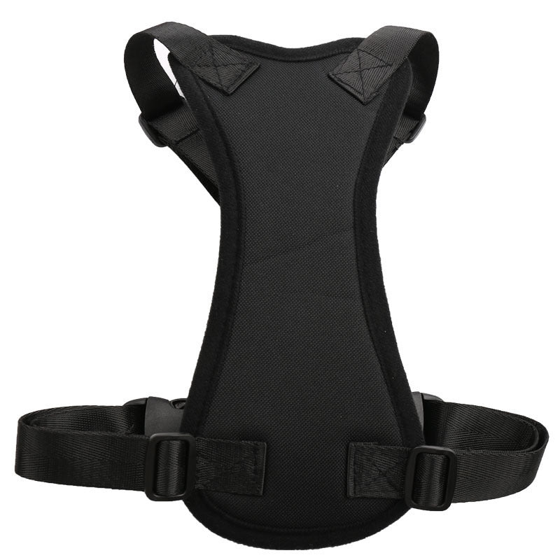 Car seat belts for pets - My Store