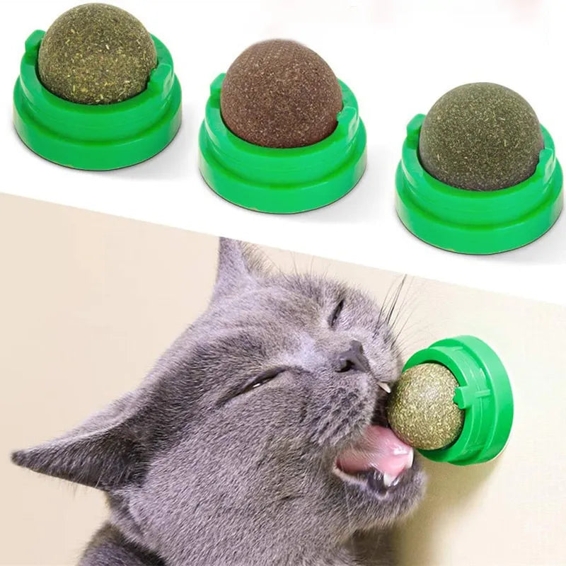 Natural Catnip Cat Wall Stick-on Ball Toy Scratchers Treats Healthy Natural Removes Balls to Promote Digestion Cat Grass Snack - My Store