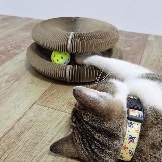 Magic Organ Cat Scratcher - all day fun - My Store