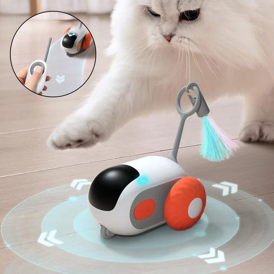 Remote Control Cat Car Toy, fun for you and them - My Store