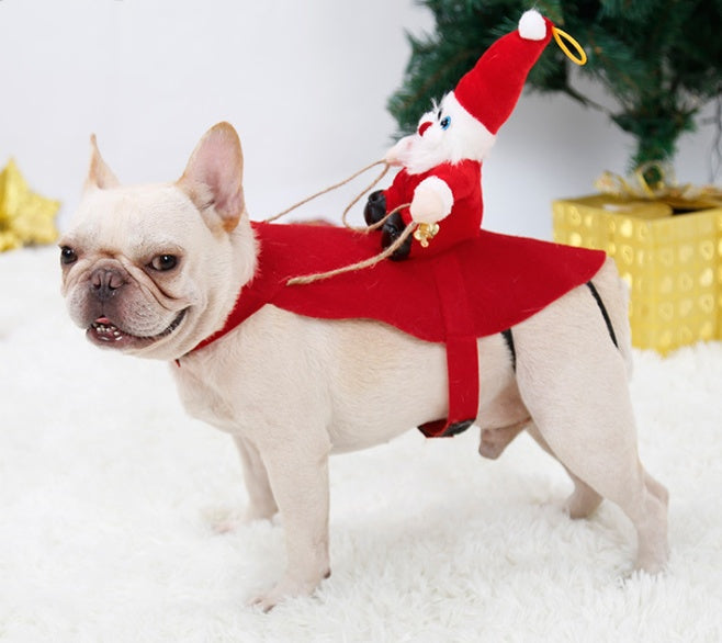 Dog Christmas Costume - Tis the season - My Store